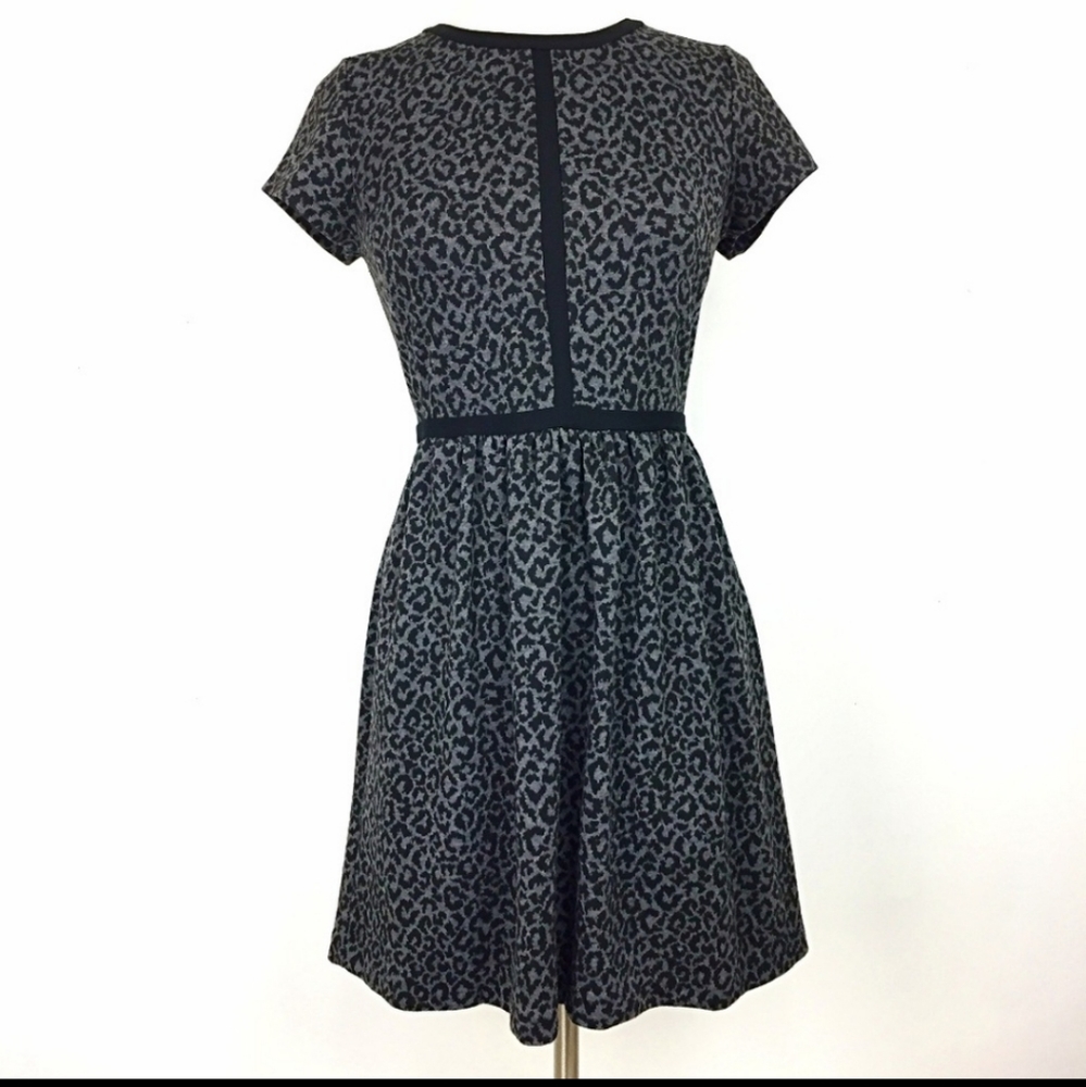 Loft leopard 🐆 print dress